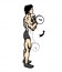 barbell_curl1