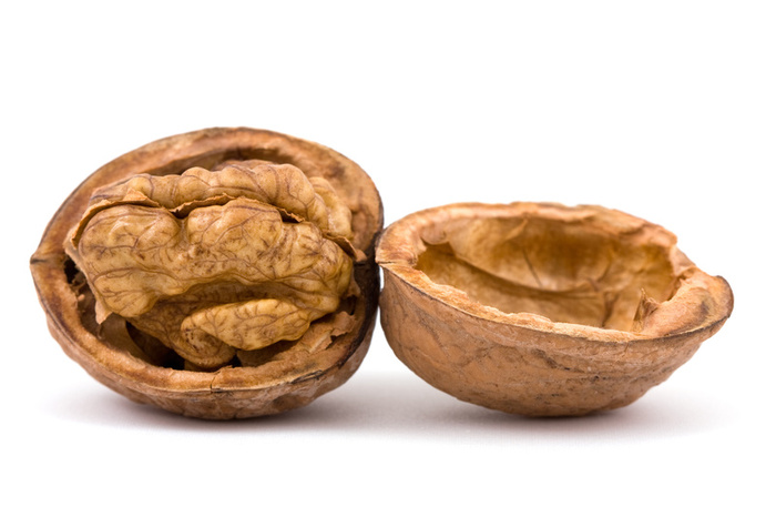 walnut