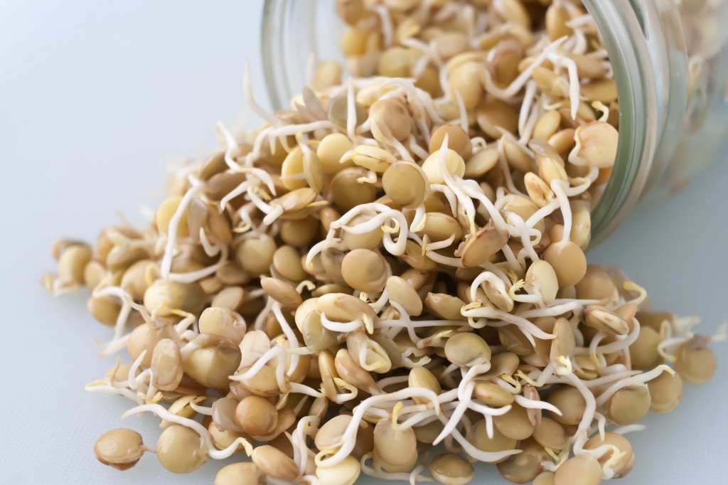 sprouted grains